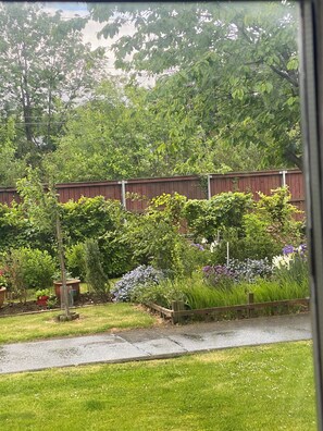 Ein Garten mit unterschiedlichen Pflanzen und einem Holzzaun.