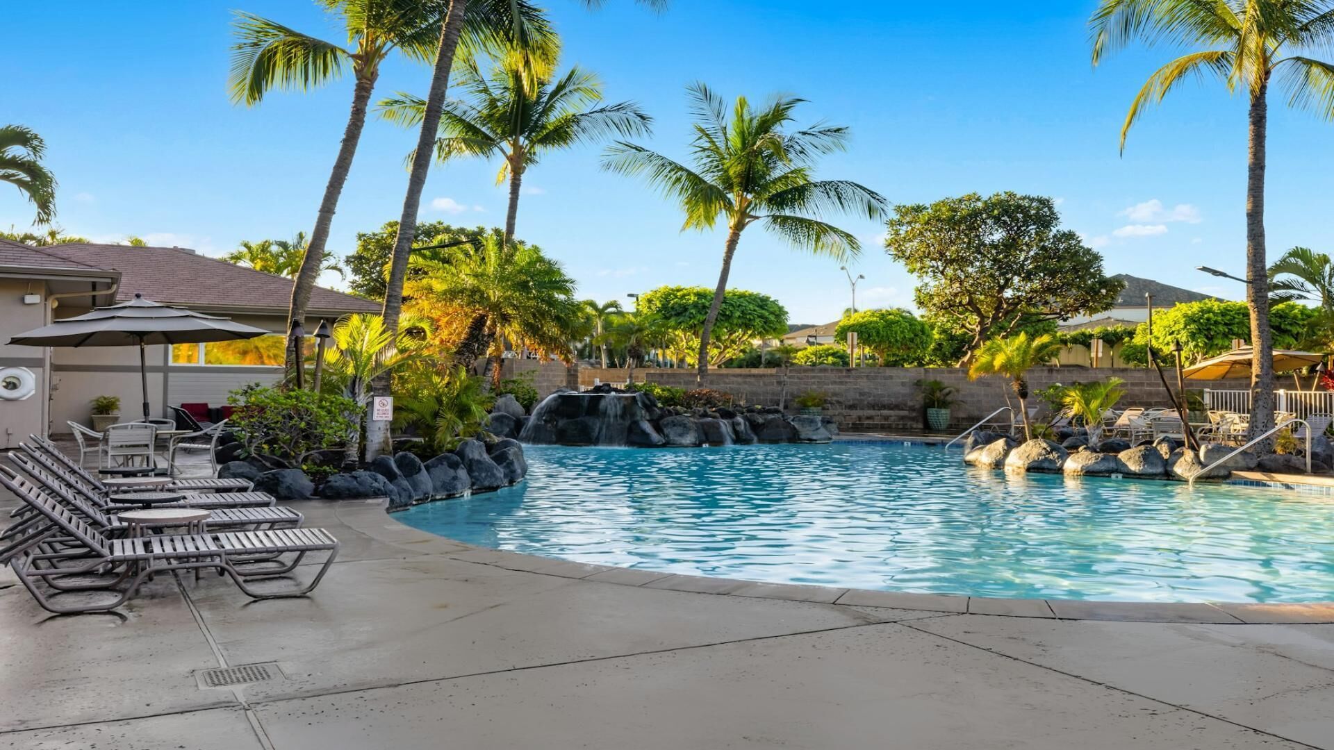 A swimming pool with lounge chairs and palm trees.