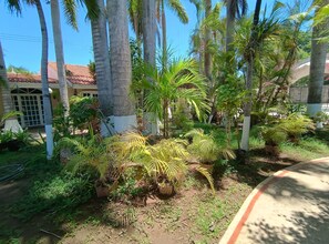 Un jardín con palmeras y diversas plantas, un edificio con techo de tejas y una zona pavimentada.