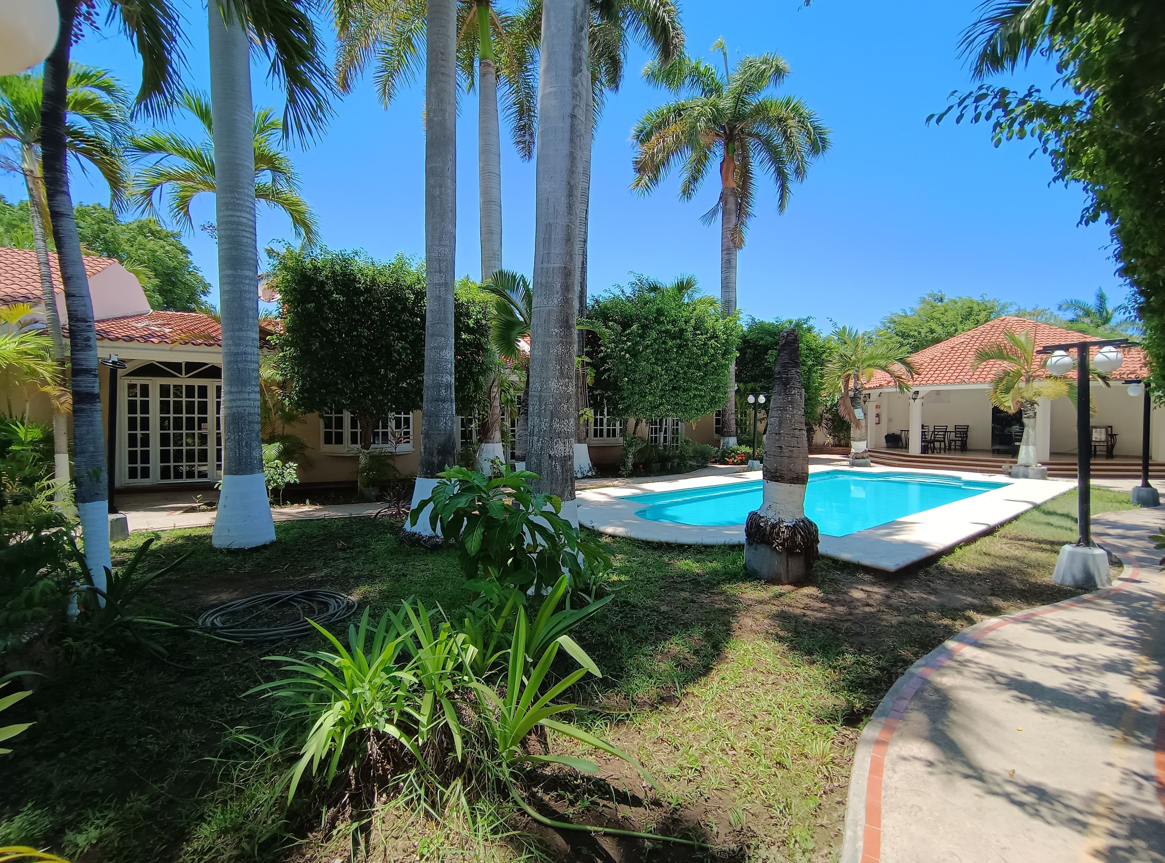 A pool surrounded by palm trees, a covered seating area, and a building with a tiled roof.