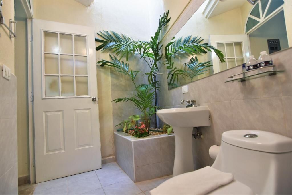 Studio Deluxe, vue jardin | Salle de bain | Douche, articles de toilette gratuits, savon, shampoing