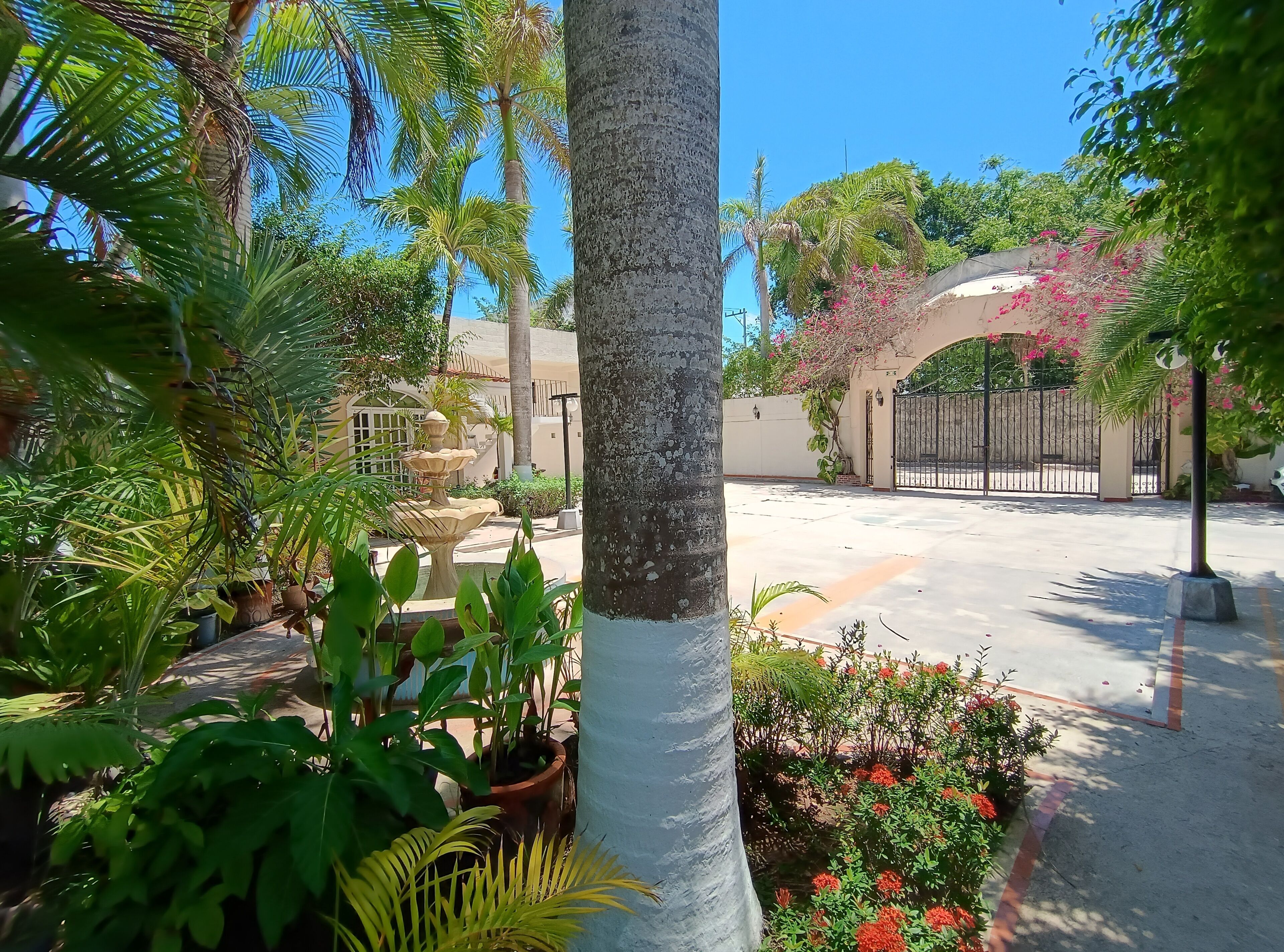 A courtyard with a fountain, palm trees, and a gated entrance.
