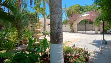 A courtyard with a fountain, palm trees, and a gated entrance.