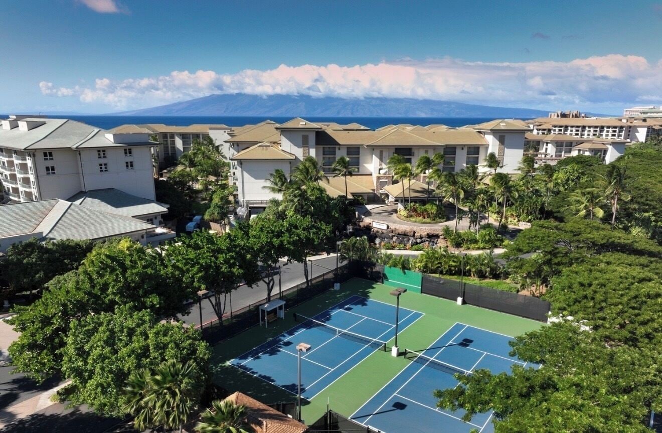 Sport court
