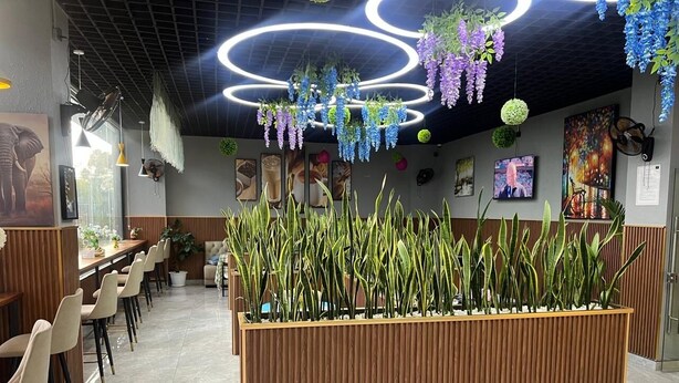 Un interno ristorante moderno con un lungo bancone in legno, diverse aree salotto e piante decorative pensili.