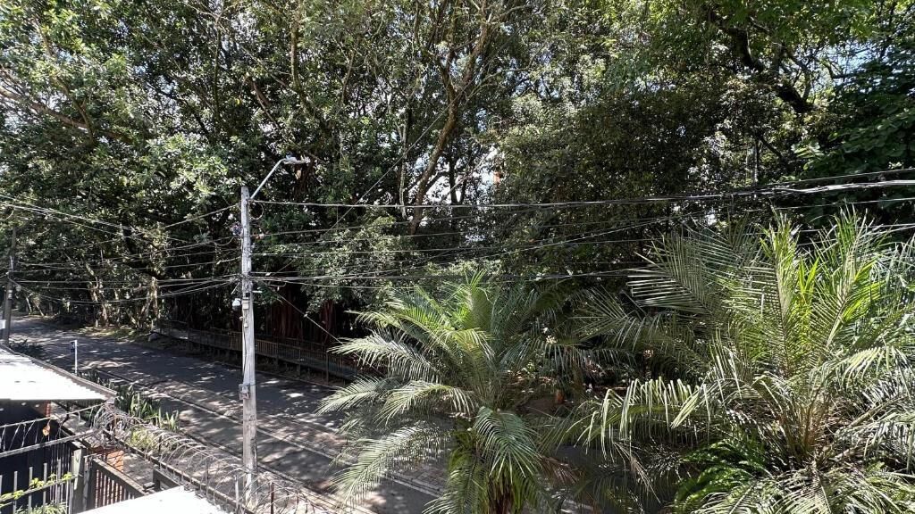 Une rue traversée par un pont piétonnier, bordée d’une végétation luxuriante et d’arbres.