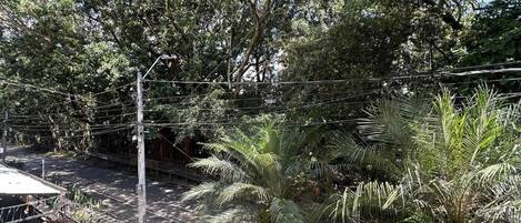 Une rue traversée par un pont piétonnier, bordée d’une végétation luxuriante et d’arbres.