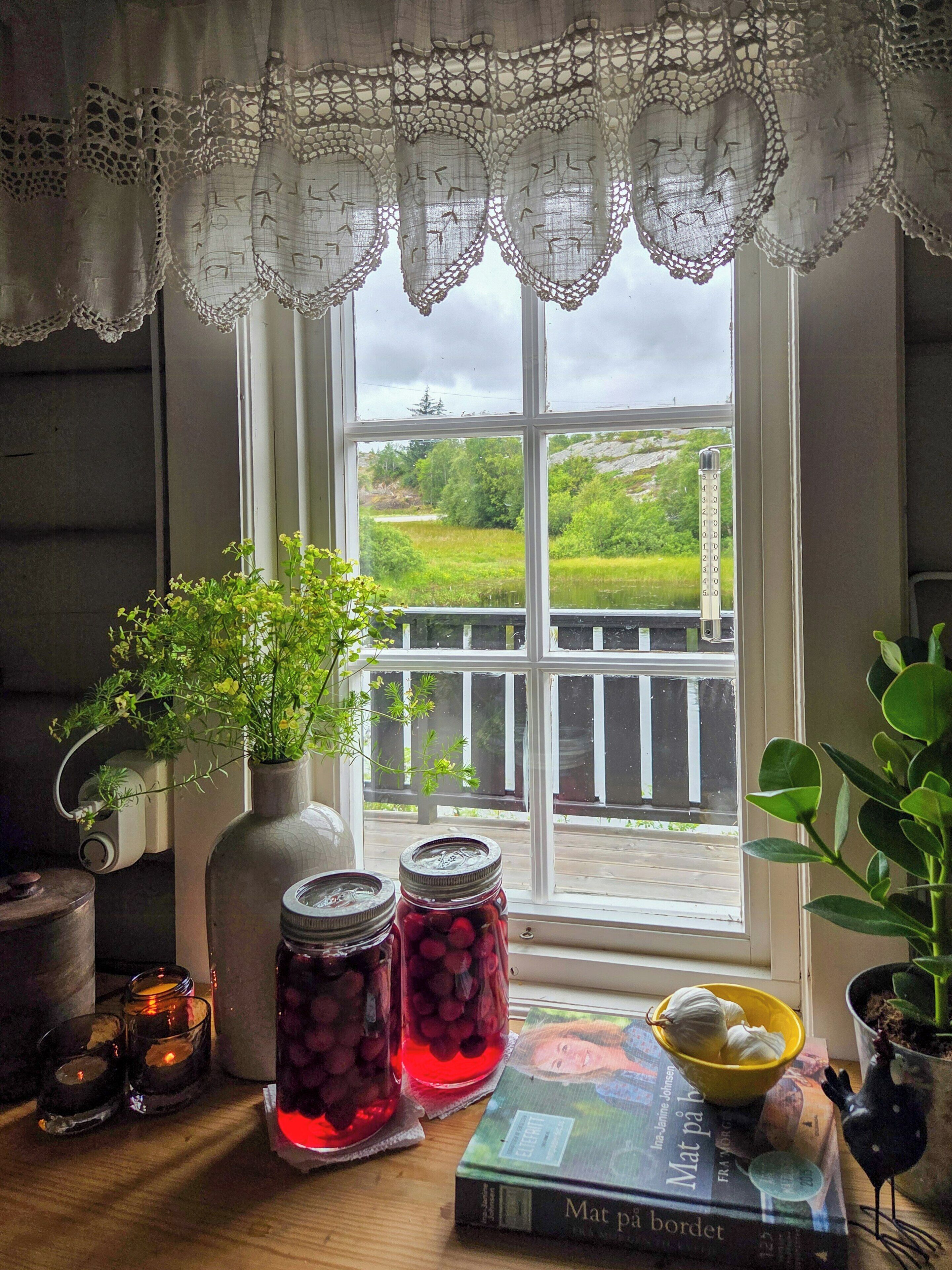 A room with a view of a green landscape through a window, a potted plant, a book, and two jars with red contents.