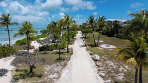 A pathway leading to a beach with palm trees and a thatched-roof structure. - Islamorada Waterfront Retreat Private Beach, Boat Lift & Canal Access (Islamorada)