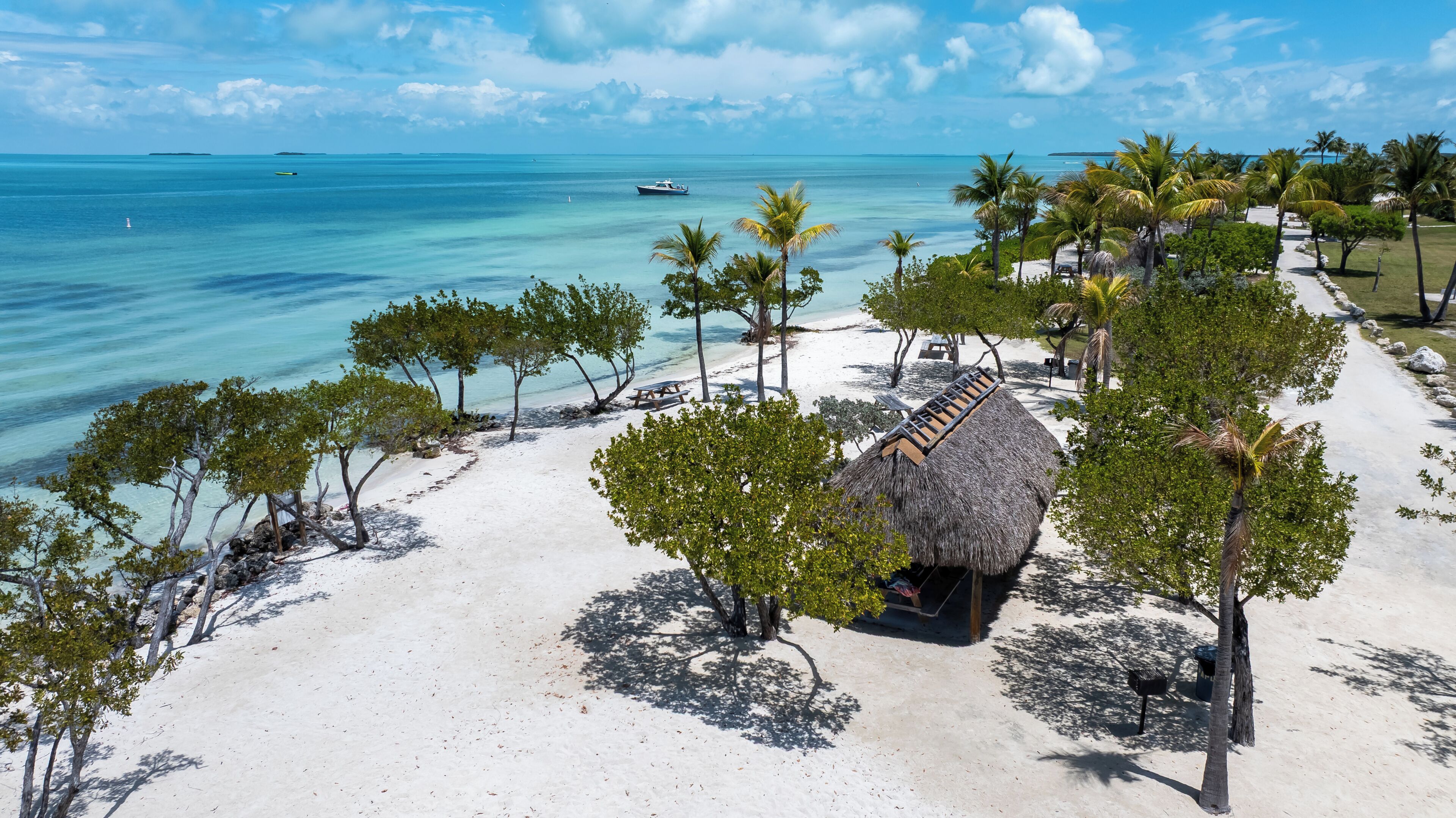 A beach with a thatched-roof hut, palm trees, and a clear view of the ocean.
