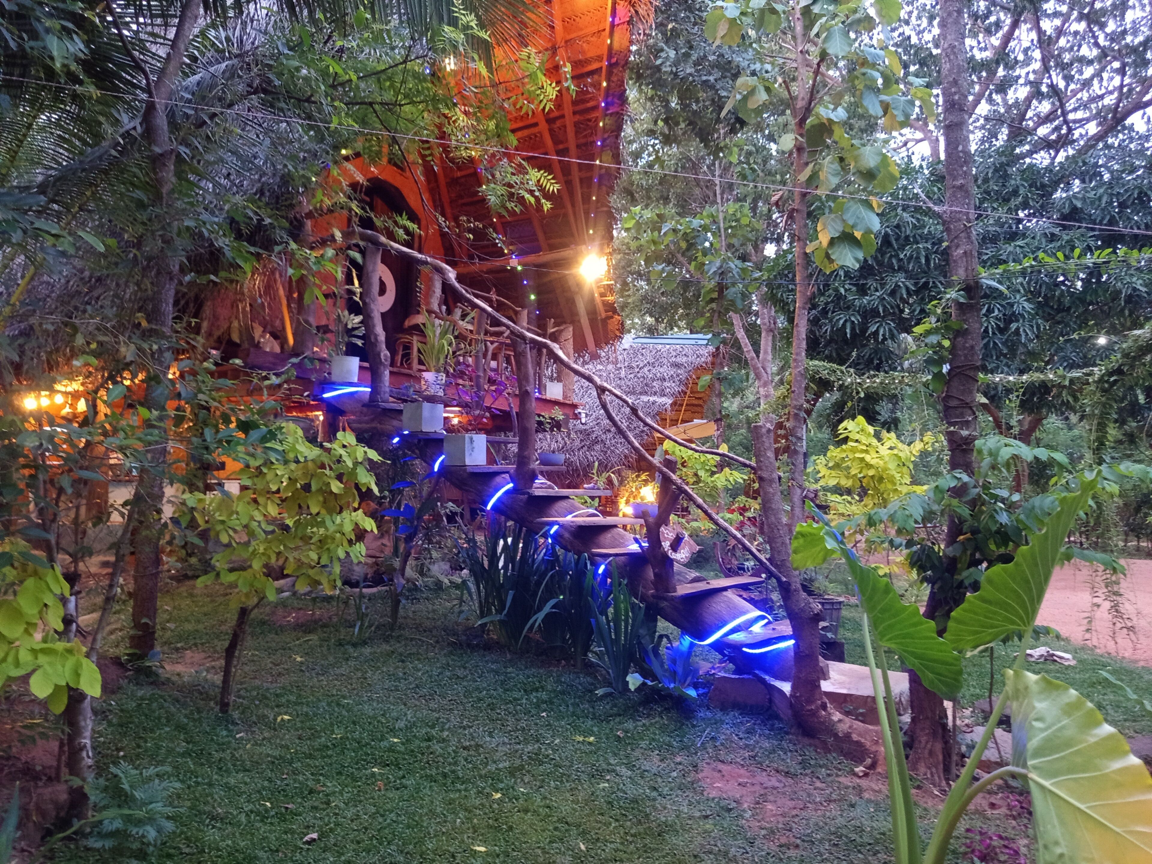 Garden view