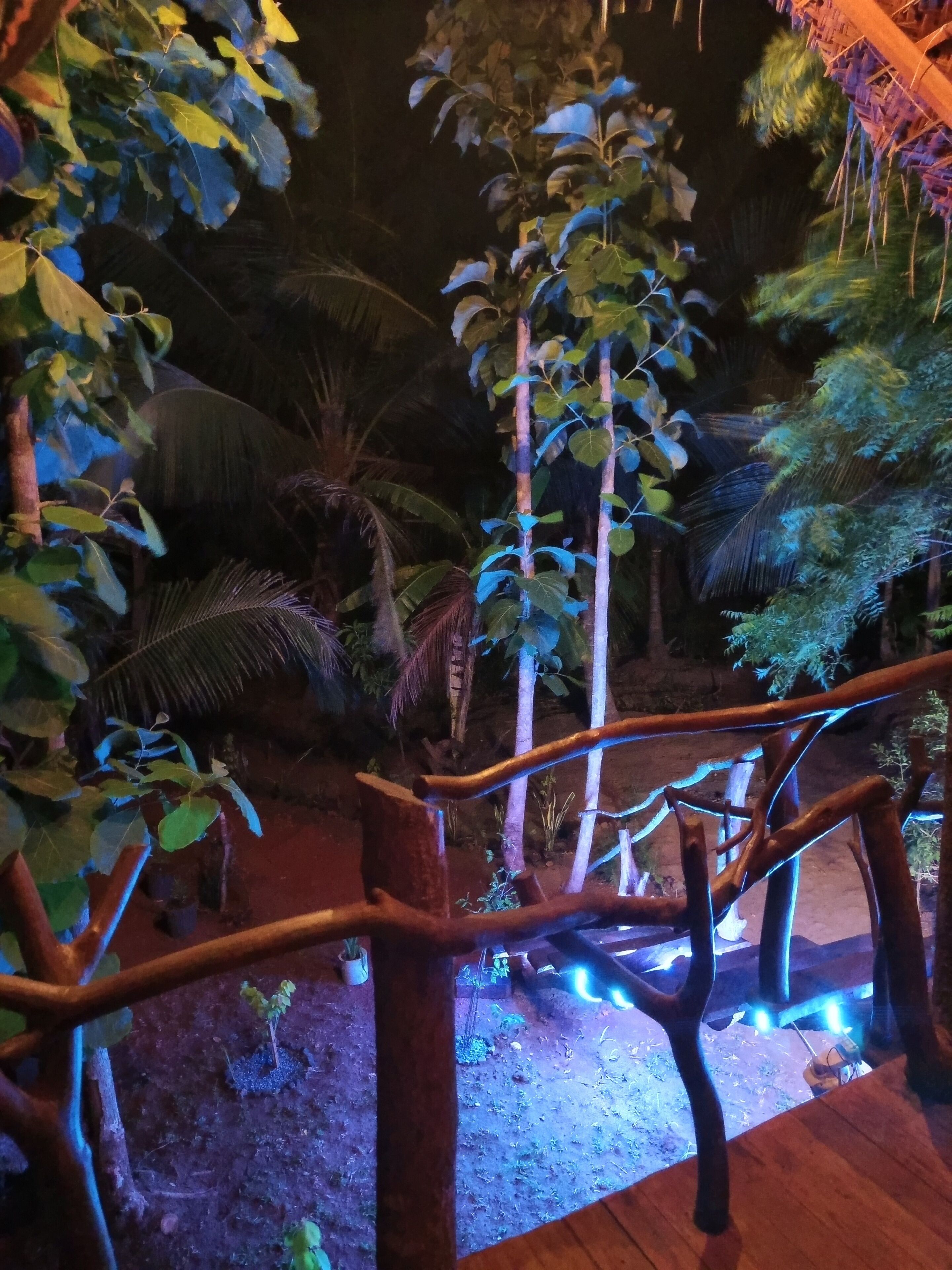 Family Tree House, Balcony, Garden View | Property grounds