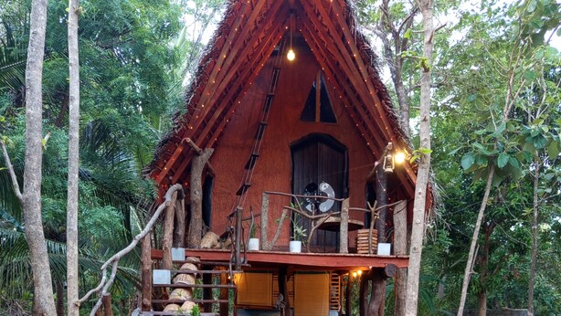 A rustic wooden house with a thatched roof, surrounded by trees and a stone pathway leading to the entrance.