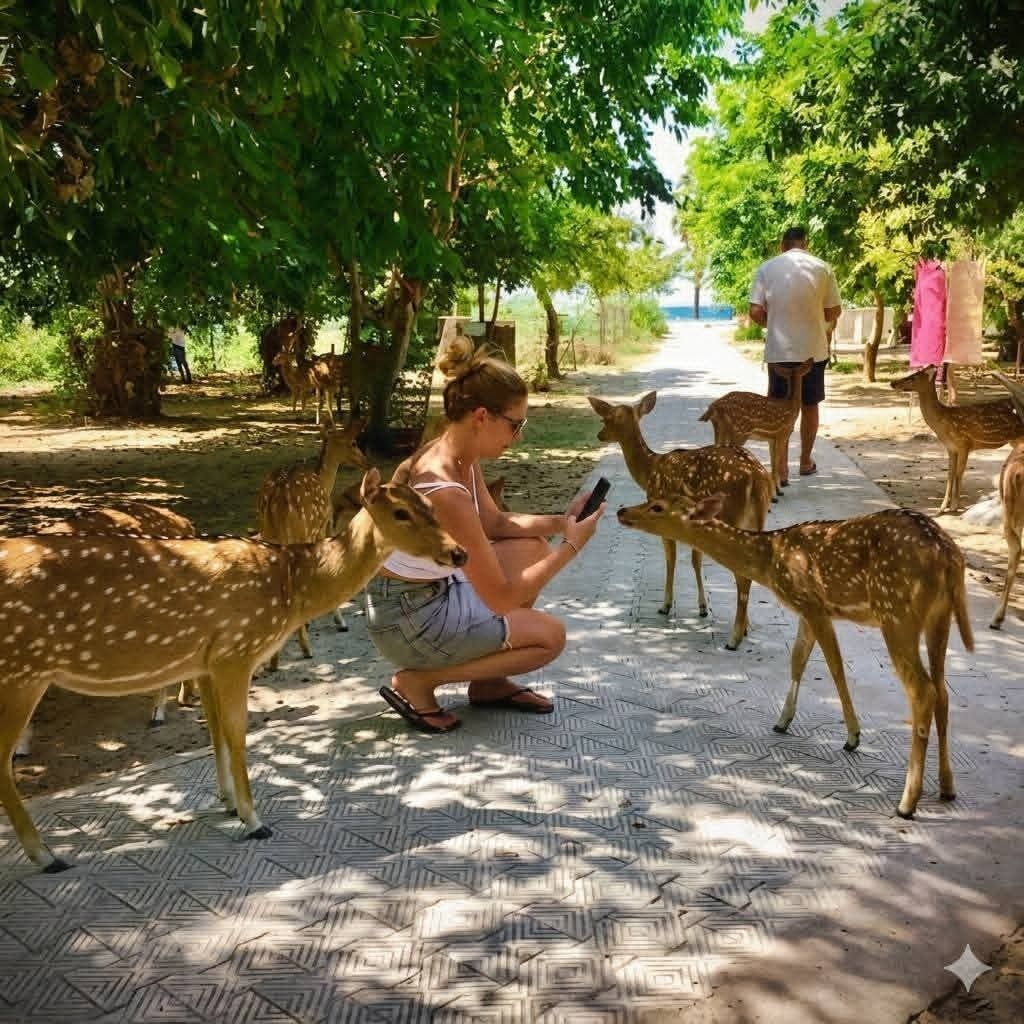 Un sentier pavé bordé d’arbres et où l’on peut apercevoir des cerfs.