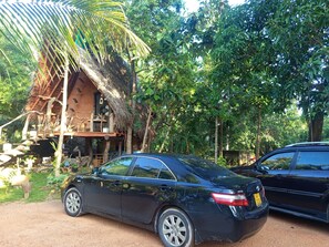 A black car parked in front of a rustic wooden house with a thatched roof, surrounded by lush greenery.