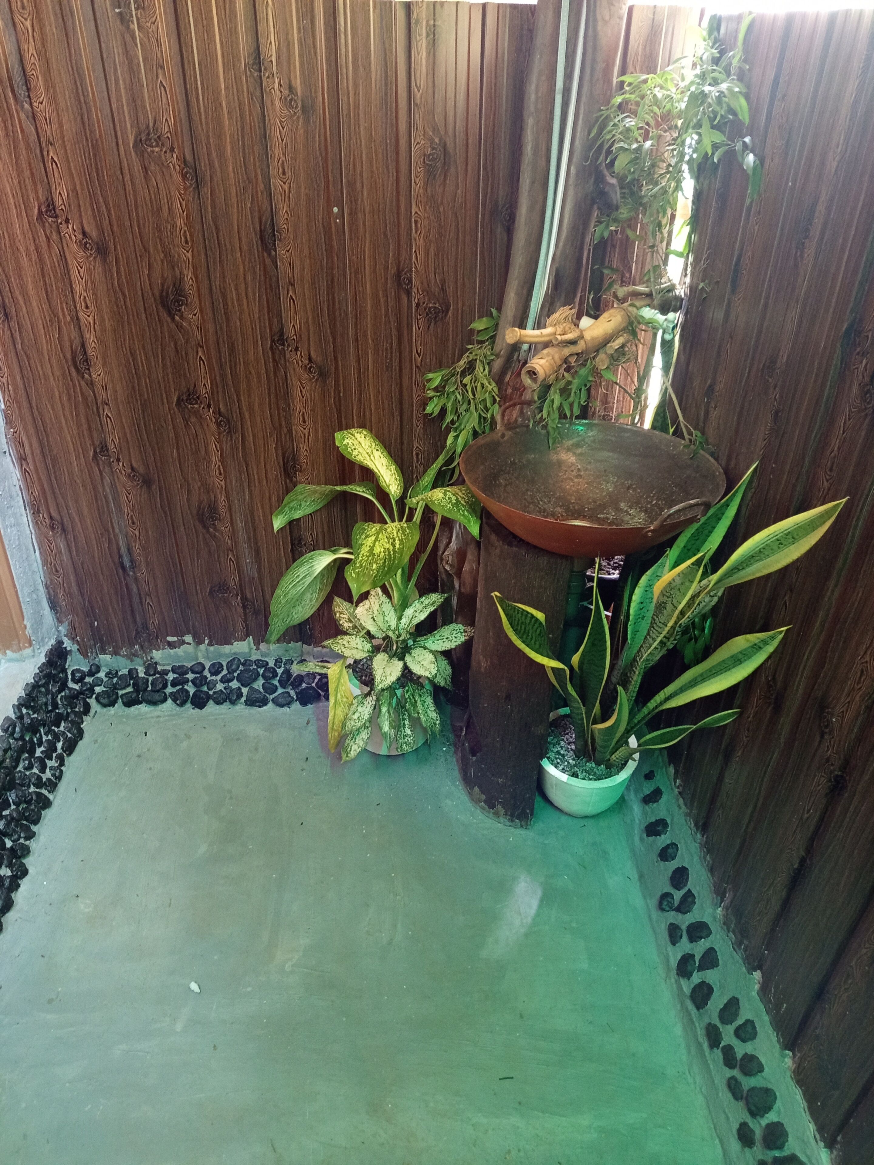 A corner with a wooden fence, a concrete floor, and potted plants.