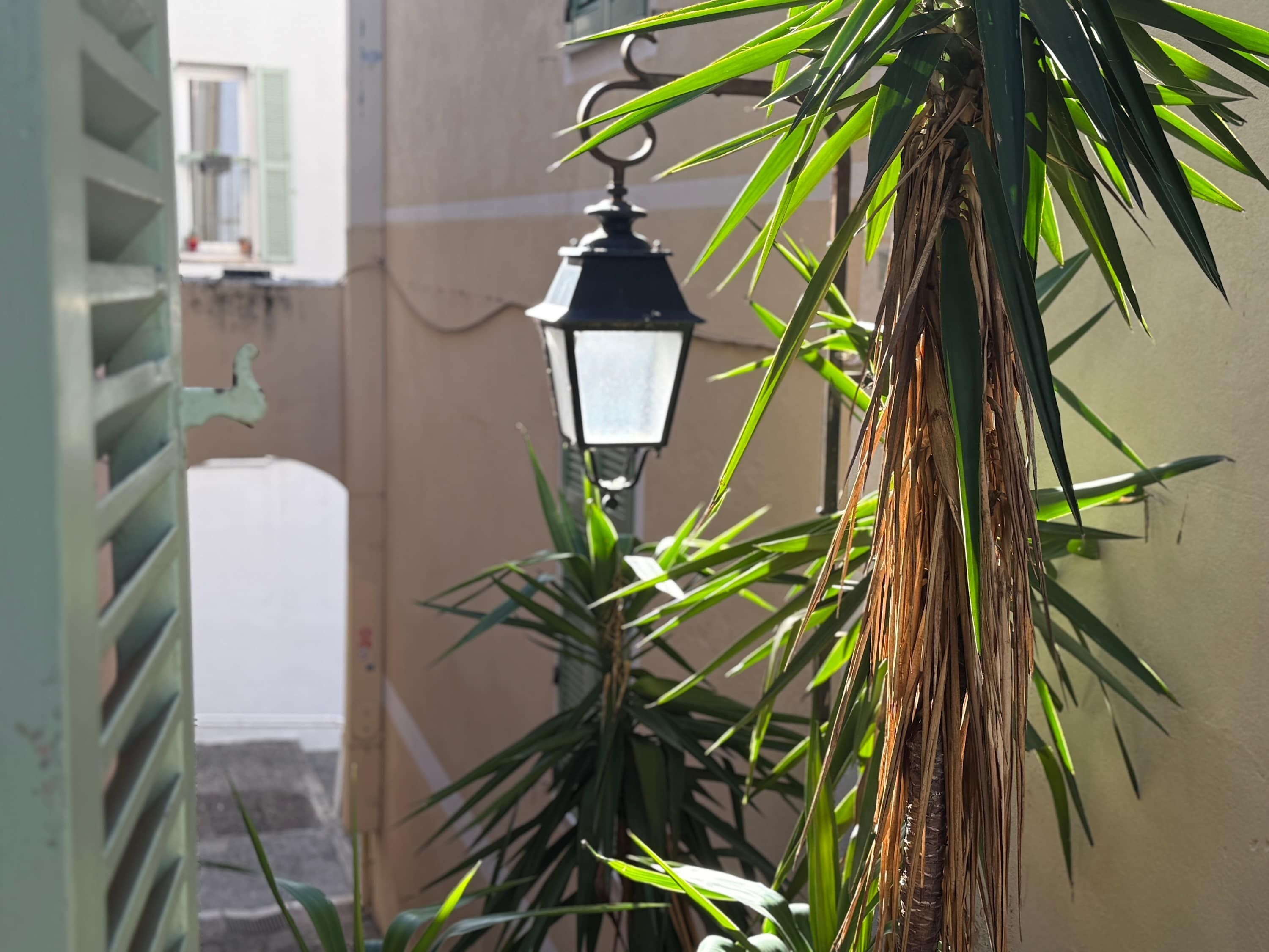 Un lampadaire avec un luminaire suspendu, un palmier et la façade d’un immeuble avec une fenêtre et des volets.