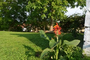 Zona verde bien cuidada con diversos tipos de plantas y árboles, incluyendo una llamativa flor roja.