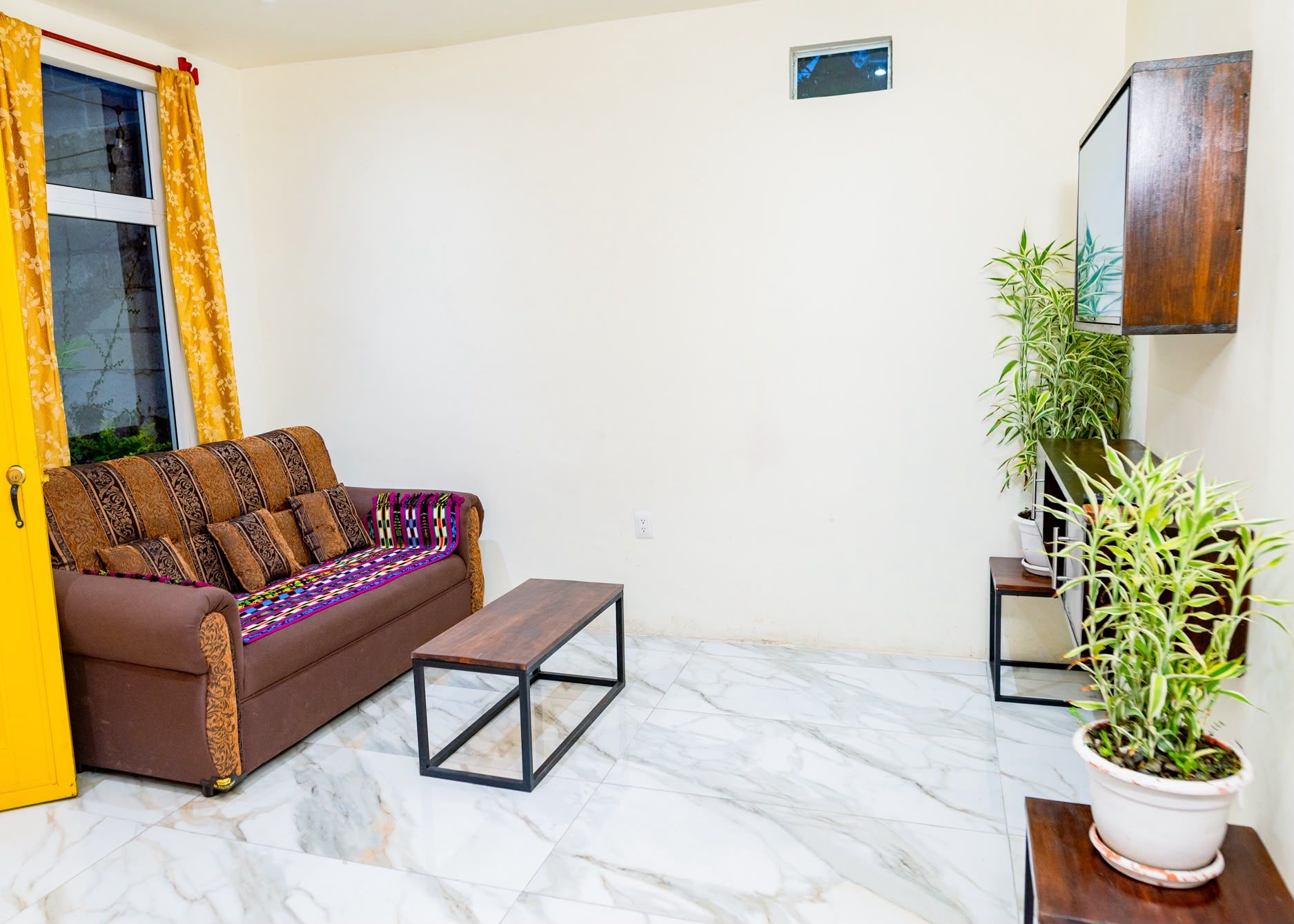 A living room with a sofa, a coffee table, and potted plants.