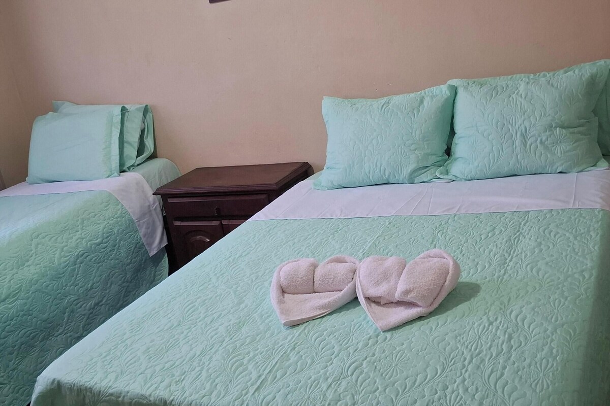 Twin Room, Mixed Dorm, Pets allowed