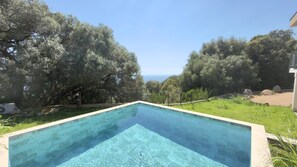 Ein rechteckiger Pool mit klarem, blauem Wasser, umgeben von üppiger Vegetation und Bäumen.