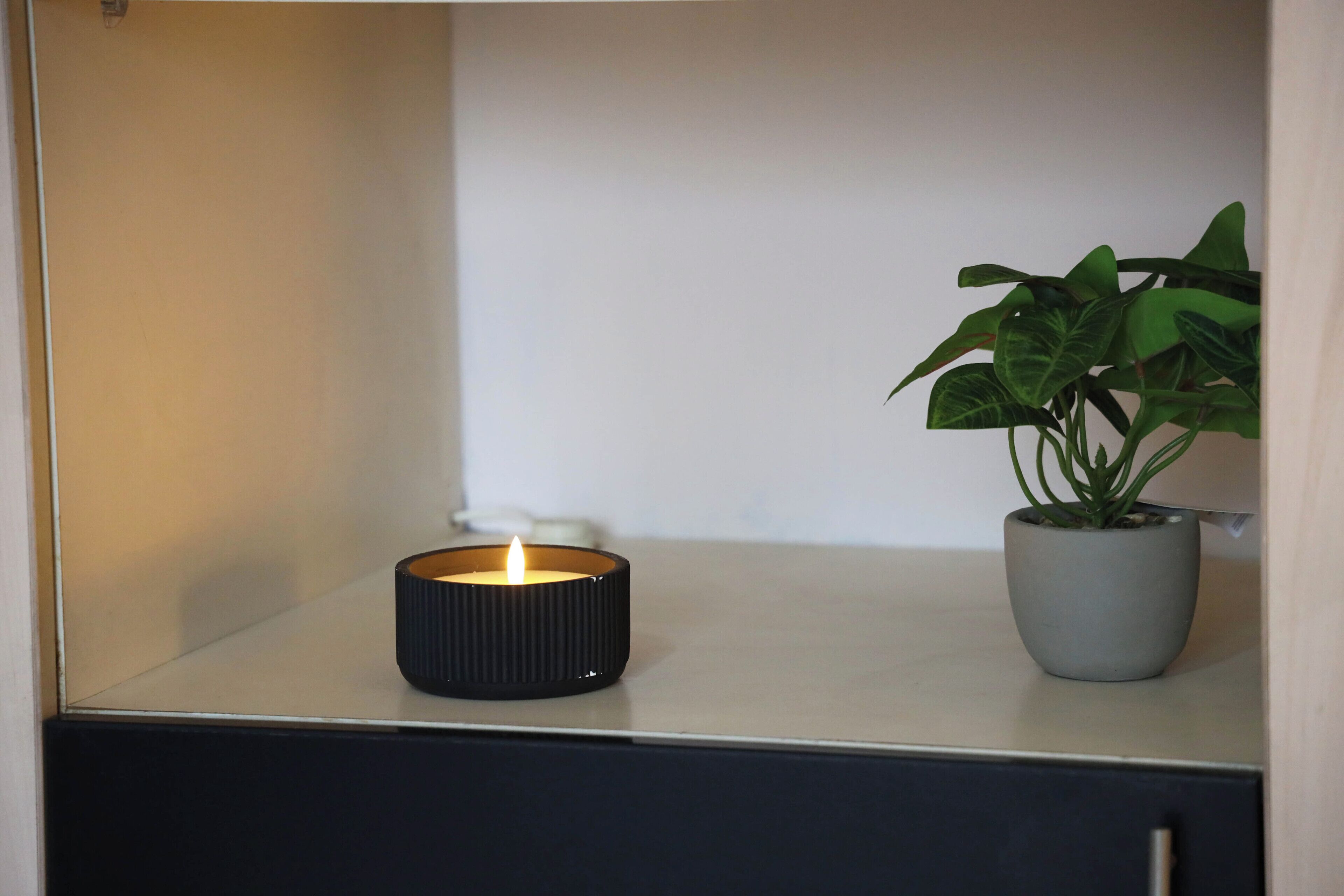 A candle in a black holder on a shelf, a potted plant to the right, and a white wall in the background.