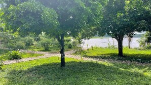 A natural landscape with trees and a body of water. - Dorado Lodge Manu  (Fitzcarrald)