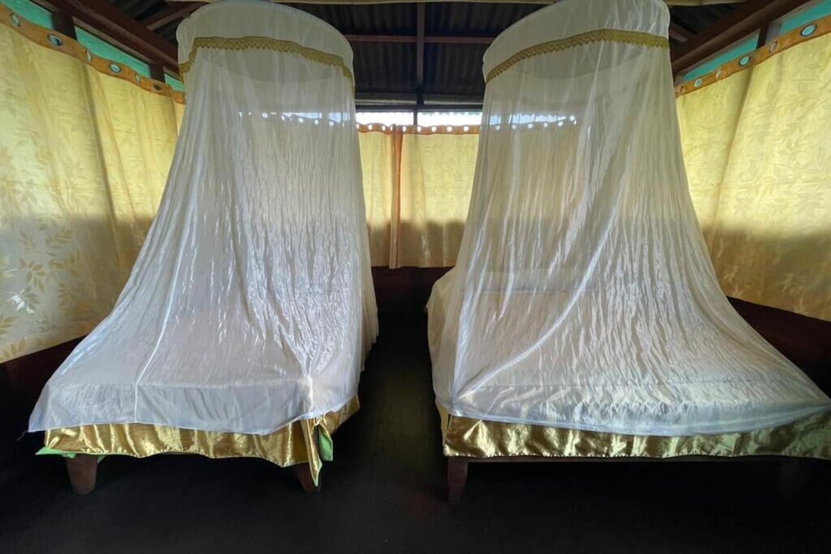 Classic Twin Room, Courtyard View