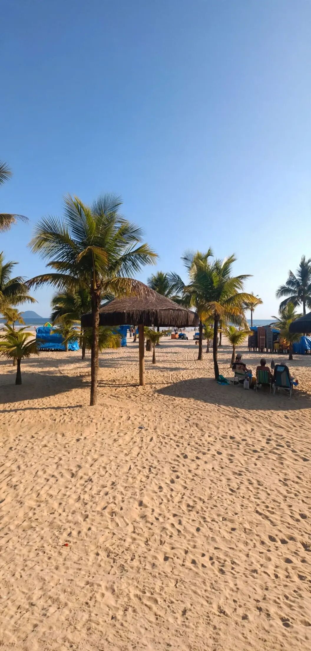 A sandy beach with palm trees and a thatched-roof structure.