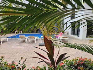 Ein Poolbereich mit Liegestühlen, einer Palme und einem Gebäude im Hintergrund.