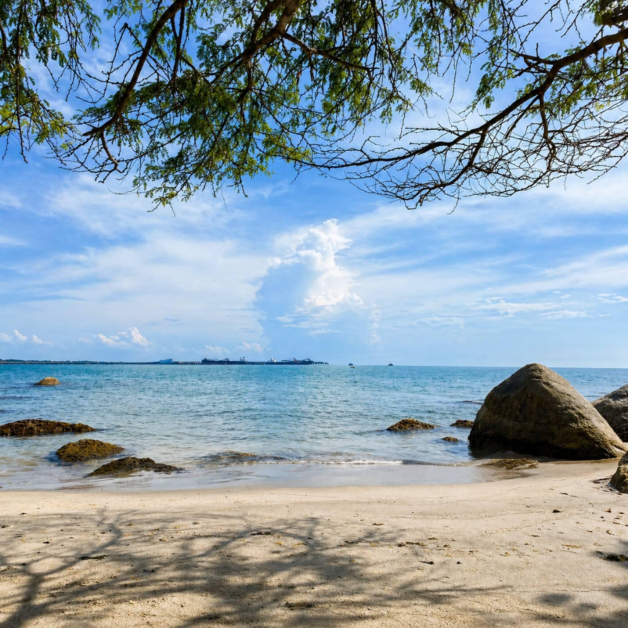 Apartment, 1 Bedroom, Accessible, Balcony | Beach