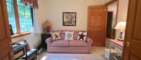 Smart TV, fireplace, books