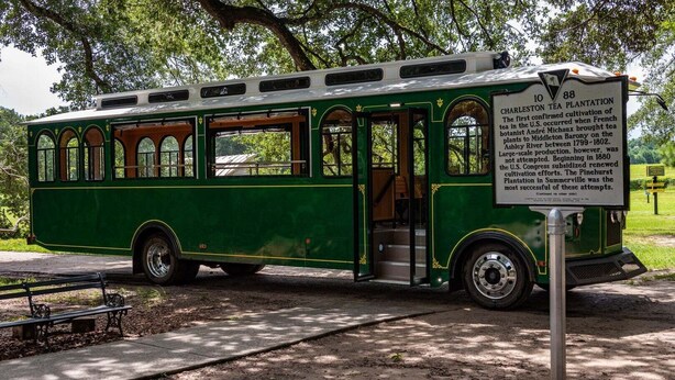 En grøn transportvogn med et skilt om Charleston Tea Plantation.
