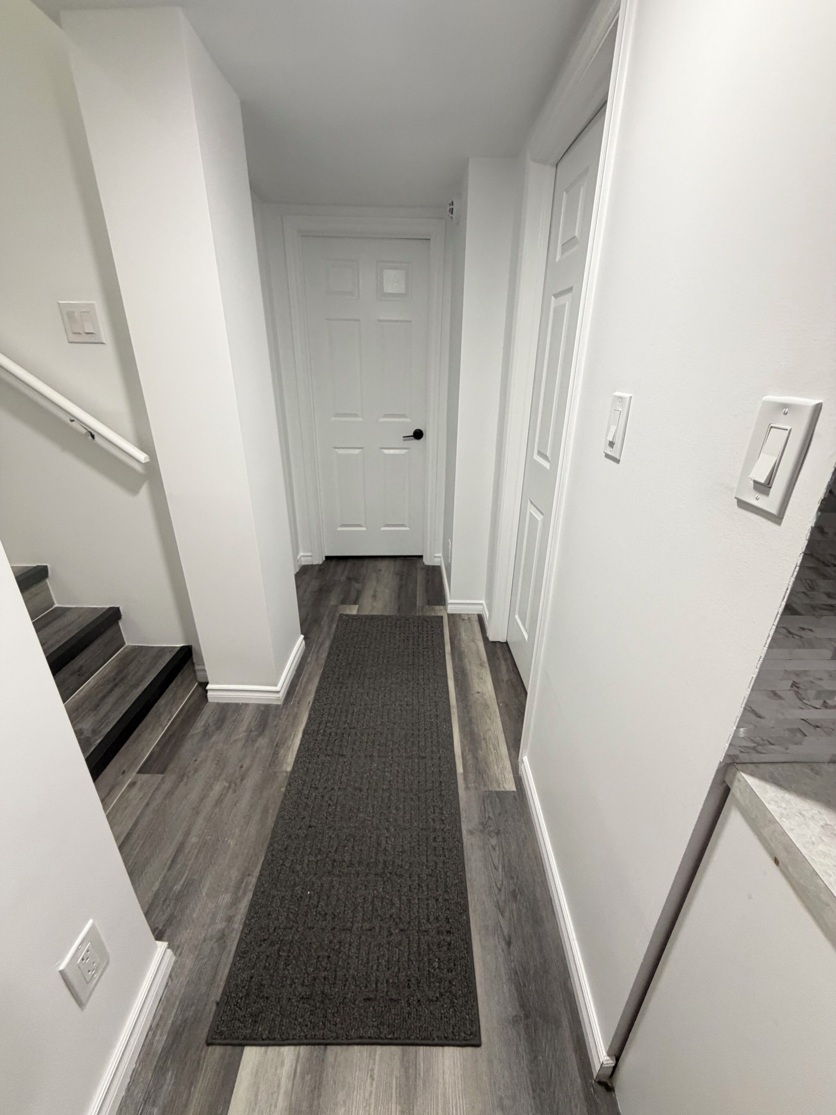 Un couloir avec un tapis, une porte et un escalier.