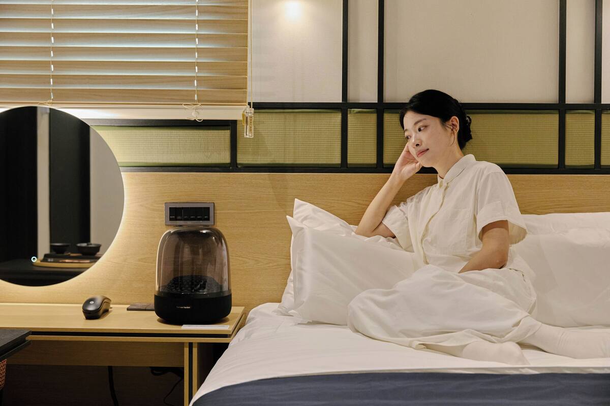 Music Room | Hypo-allergenic bedding, free WiFi, bed sheets