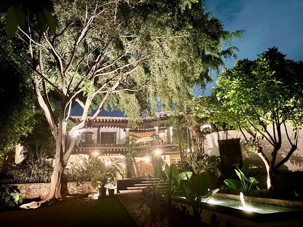A courtyard with a fountain, trees, and a building with balconies.