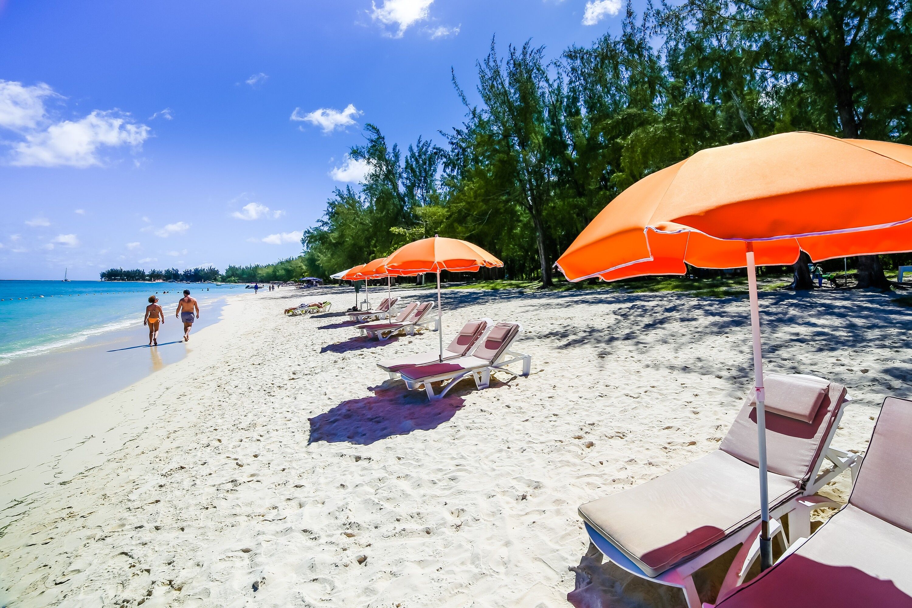 A beach with sun loungers and umbrellas, a clear sky, and the ocean in the background.