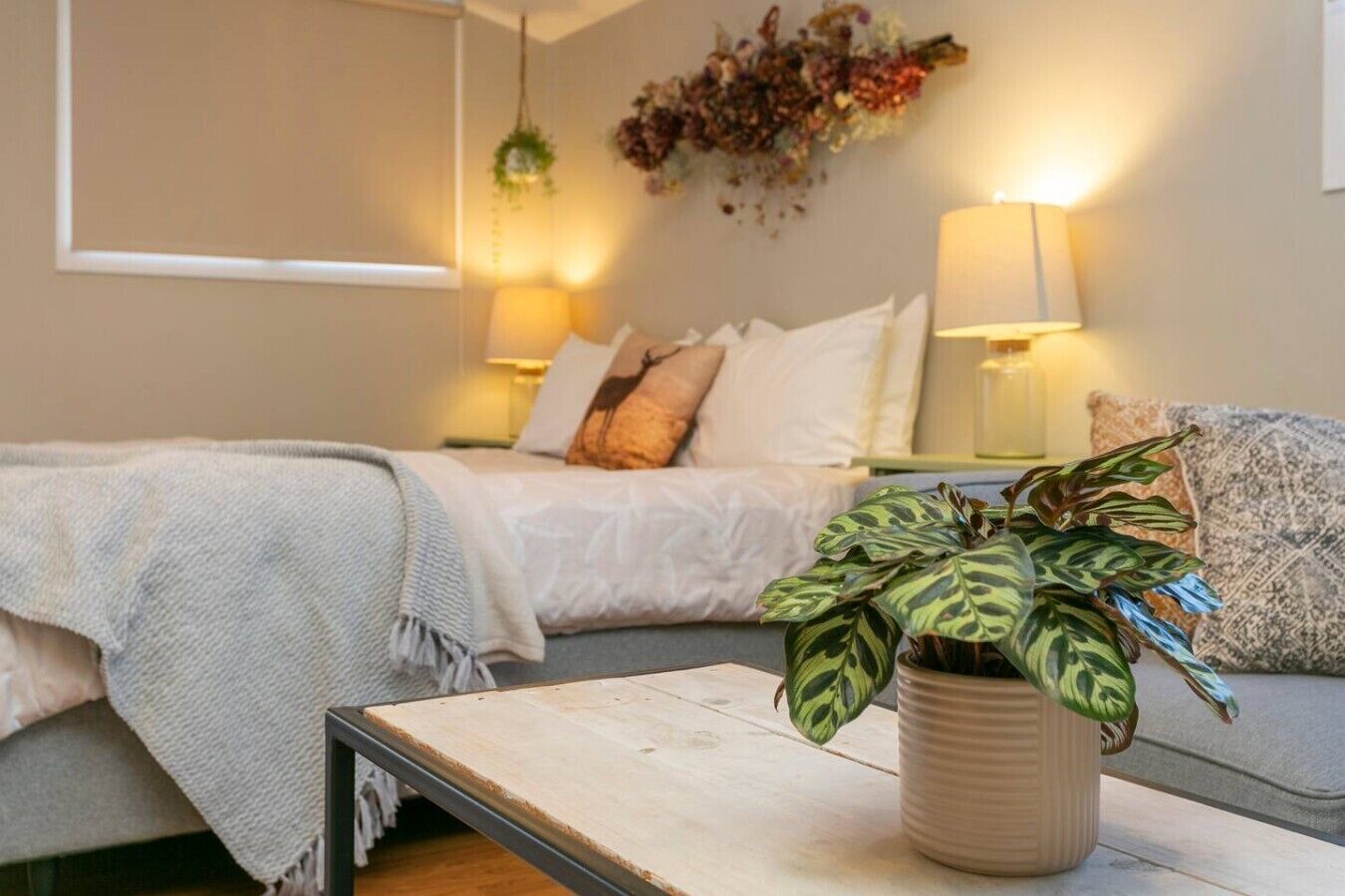 Desk, WiFi, bed sheets