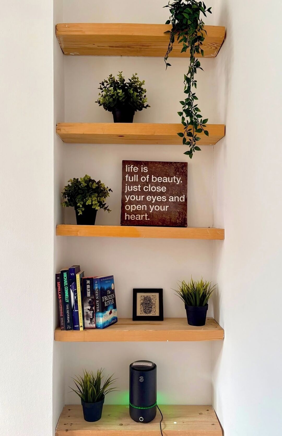 A bookshelf with multiple shelves, some with plants and books, and a motivational quote on one shelf.