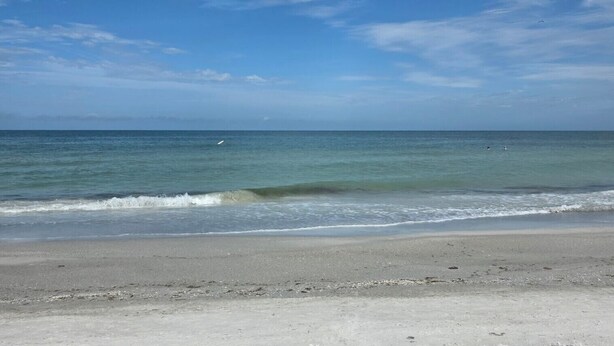 A beach with clear skies and calm waters. - Memories Beach Villa! Near Gulf Beaches + BBQ (Largo)