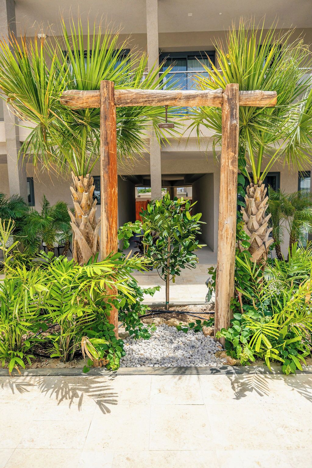 Un giardino con una pergola in legno, diverse piante e un piccolo albero.