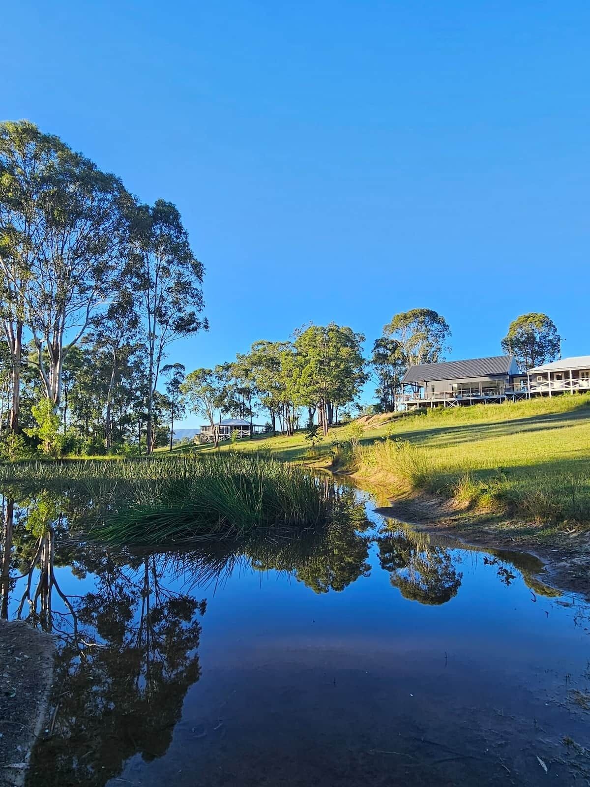 A tranquil outdoor setting with a clear reflection in a pond, surrounded by trees and a building with a modern design.