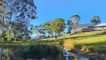 A tranquil outdoor setting with a clear reflection in a pond, surrounded by trees and a building with a modern design.