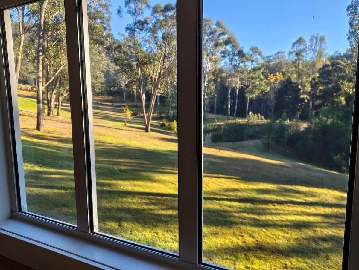 Una ventana con vistas a un área con césped y árboles.