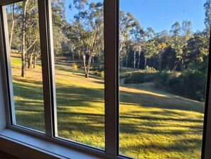 A window with a view of a grassy area and trees.
