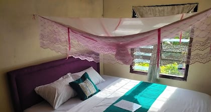 Vaturua Homestay