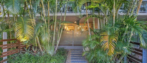 A pathway leading to a building with a glass entrance, surrounded by lush greenery and a wooden fence.
