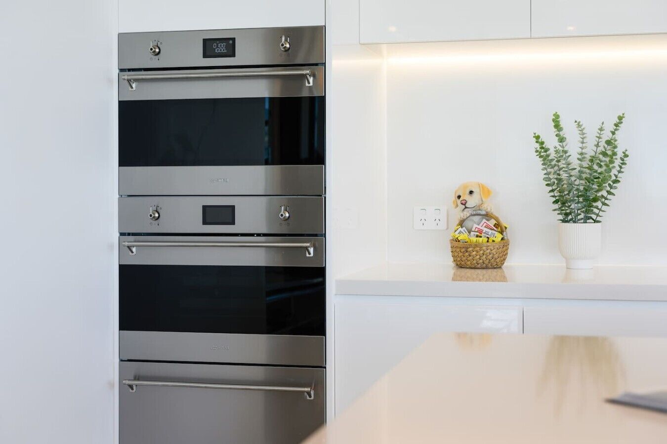 Una cocina moderna con horno integrado, una pequeña planta y una cesta decorativa.