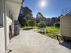 A concrete pathway leading to a building with a water tank and electrical box on the left. Two dogs are present in a grassy area with trees in the background.