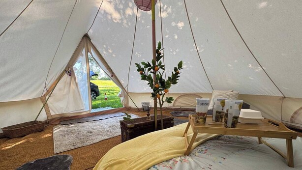 A tent interior with a bed, a table with items, a plant, and a view of the outdoors. - Countryside Avon Escape for Two (Pewsey)